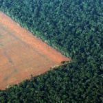 Crise do clima: o mundo se volta para a Amazônia