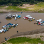 Crise hídrica e queimadas desafiam a recuperação ambiental da Amazônia em 2025