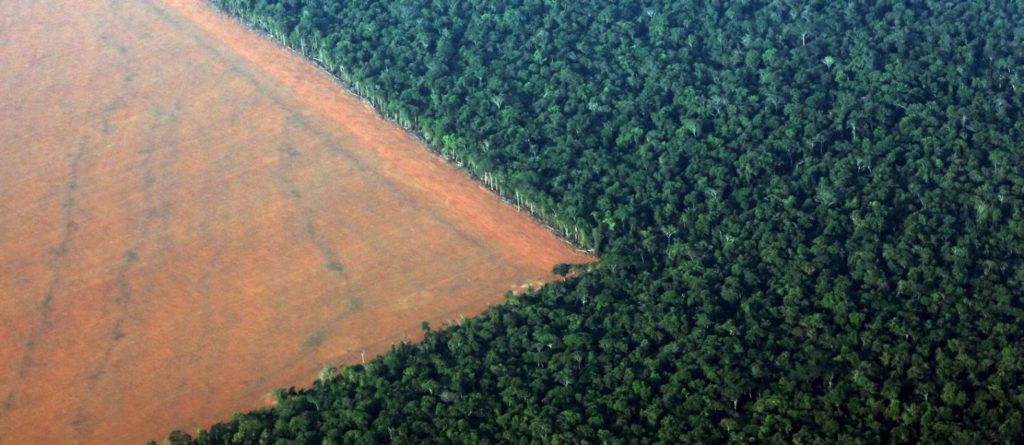 Crise do clima: o mundo se volta para a Amazônia