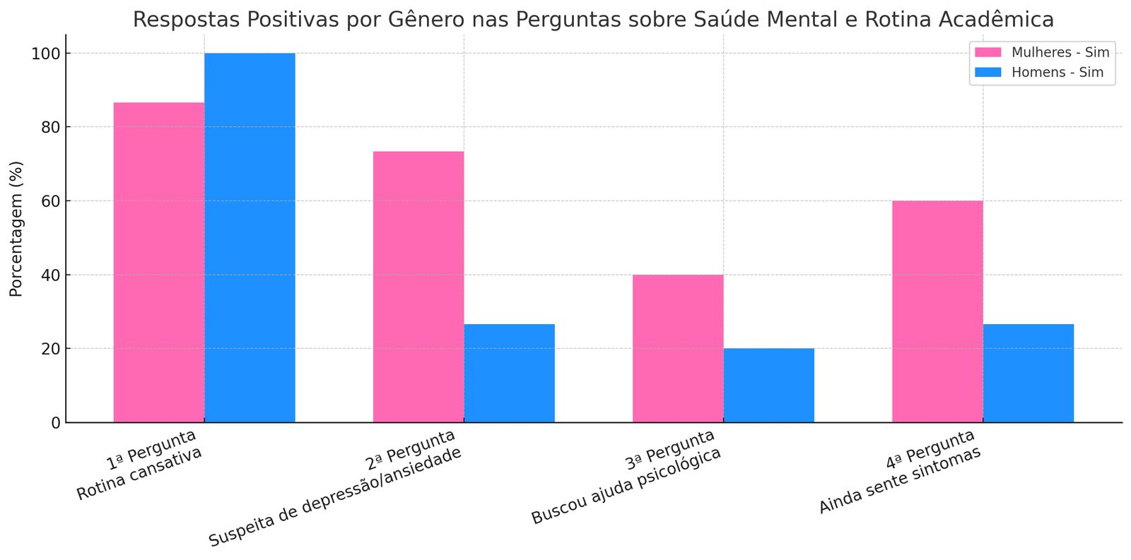 Fonte: Infográfico Autoral.